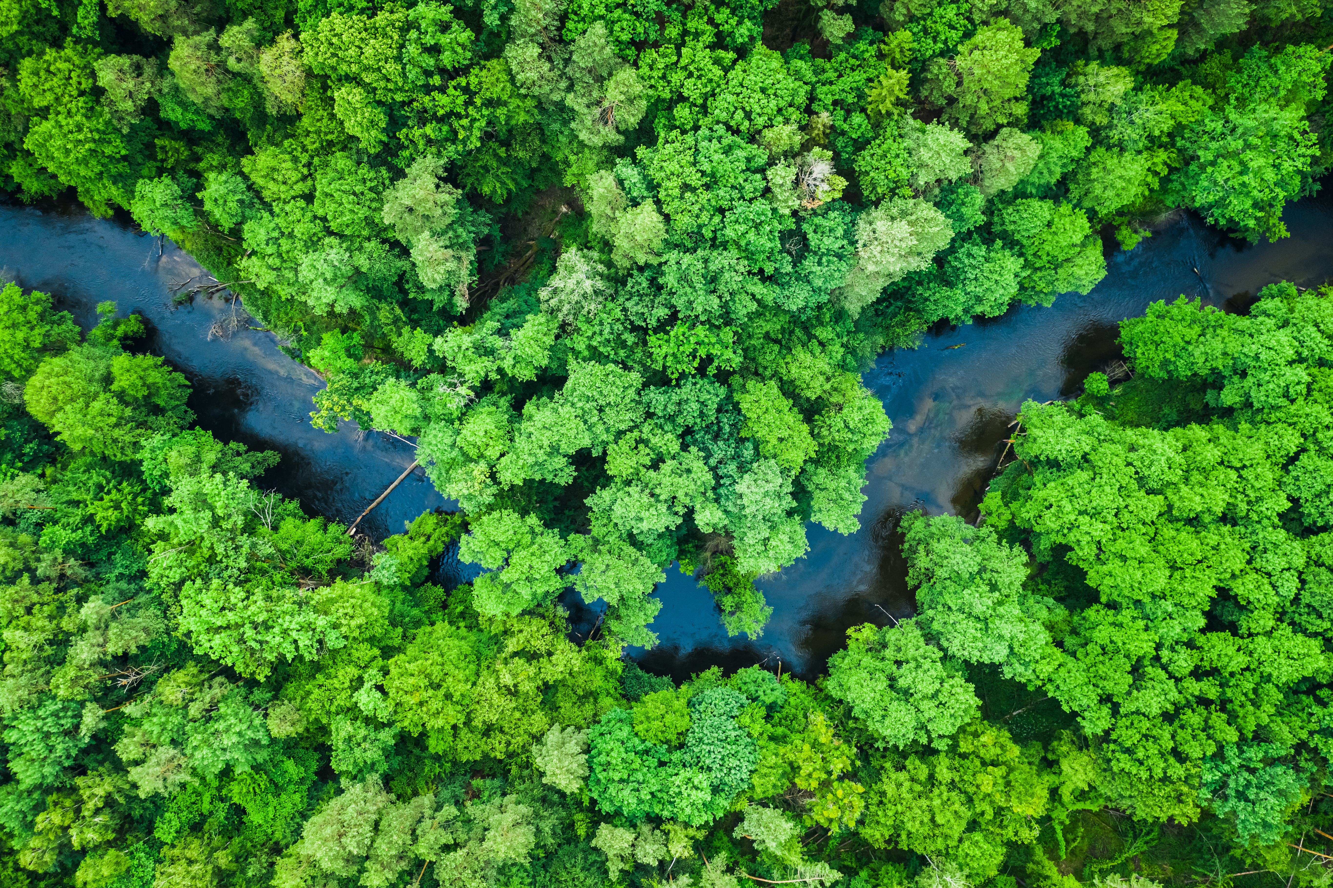 Indicação Geográfica (IG): O que é?