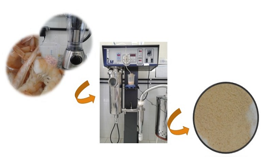 Infográfico descrevendo processo de produção do camarão em pó