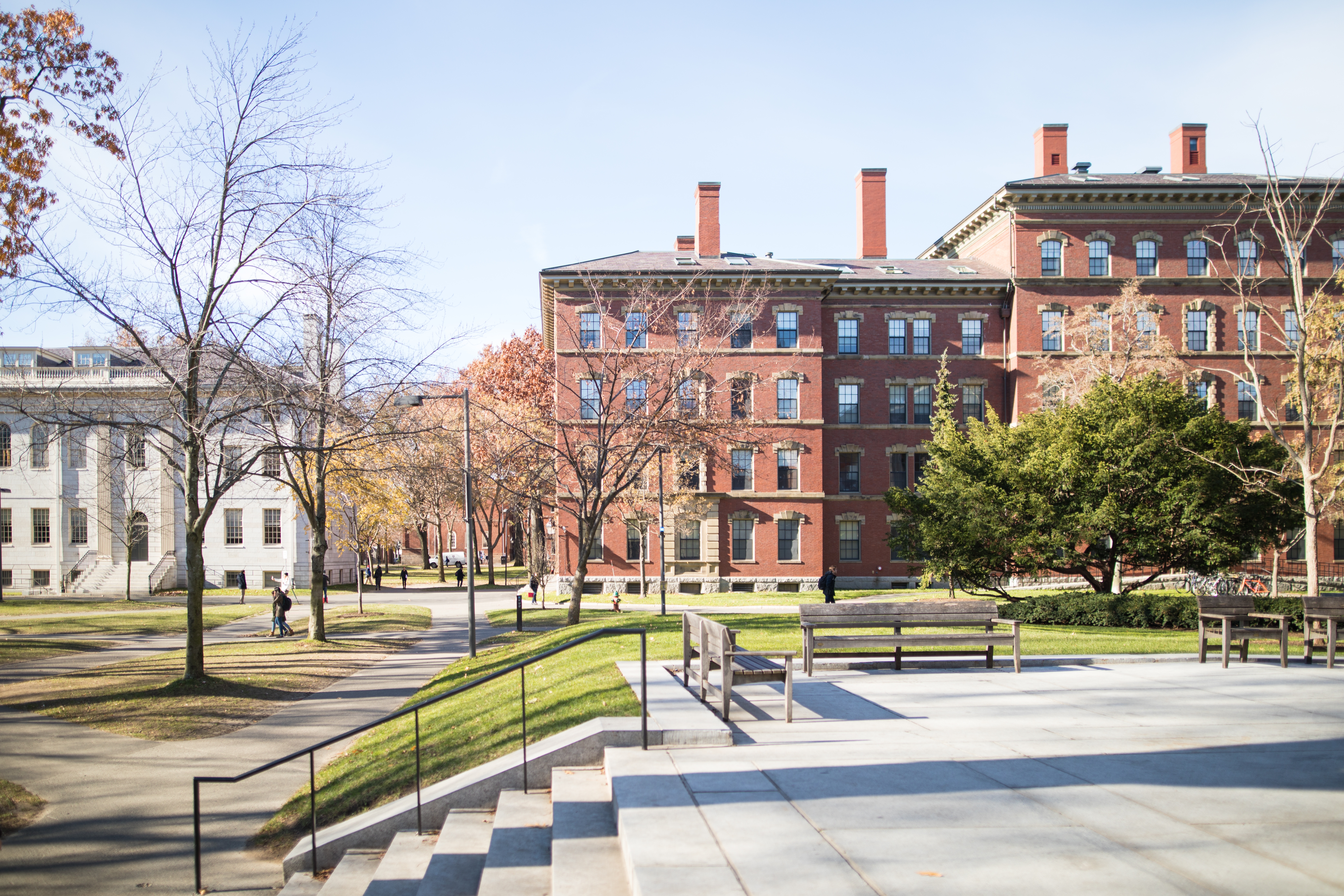 Reitora de Harvard renuncia por acusações de plágio após polêmica sobre antissemitismo no campus